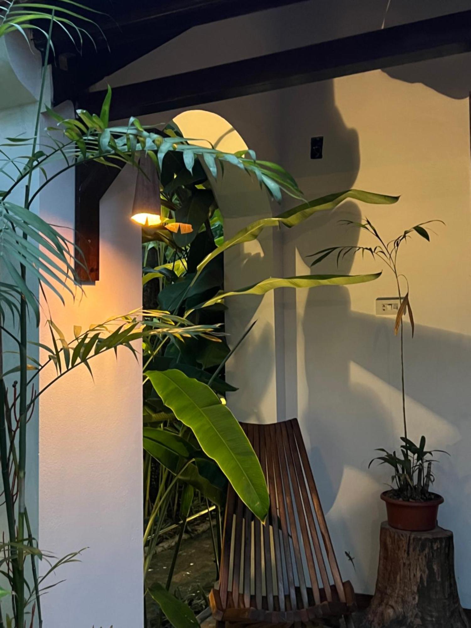 מלון נין בין Thom'S House מראה חיצוני תמונה